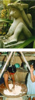 Collage of anthropology images