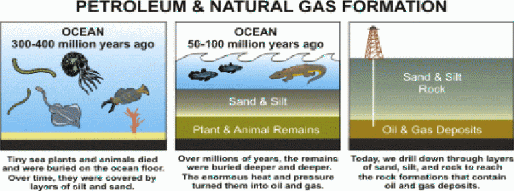 Where do fossil fuels come from?