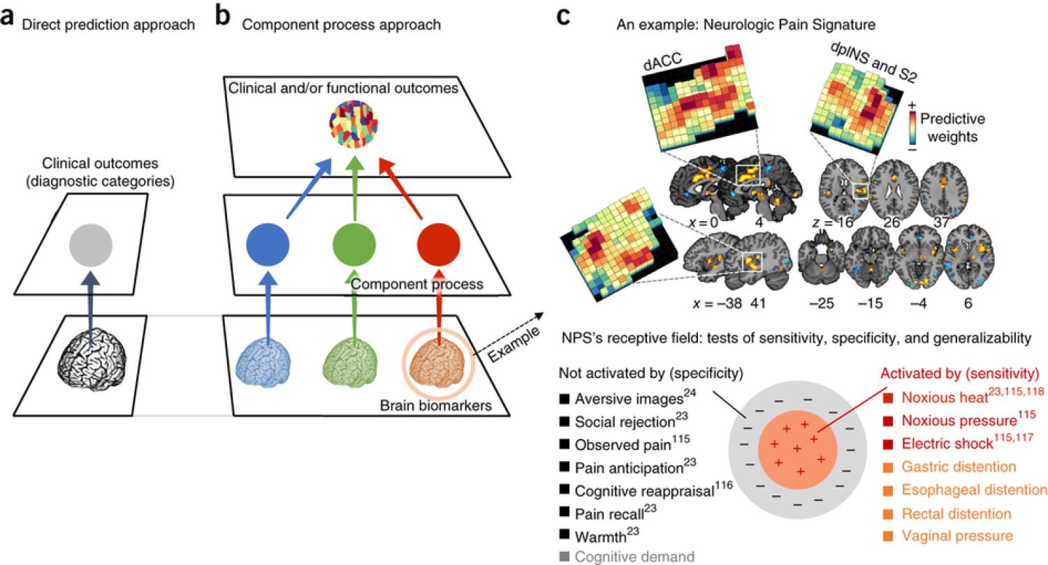 Figure describing future directions of research in article "Building better biomarkers: brain models in translational neuroimaging"