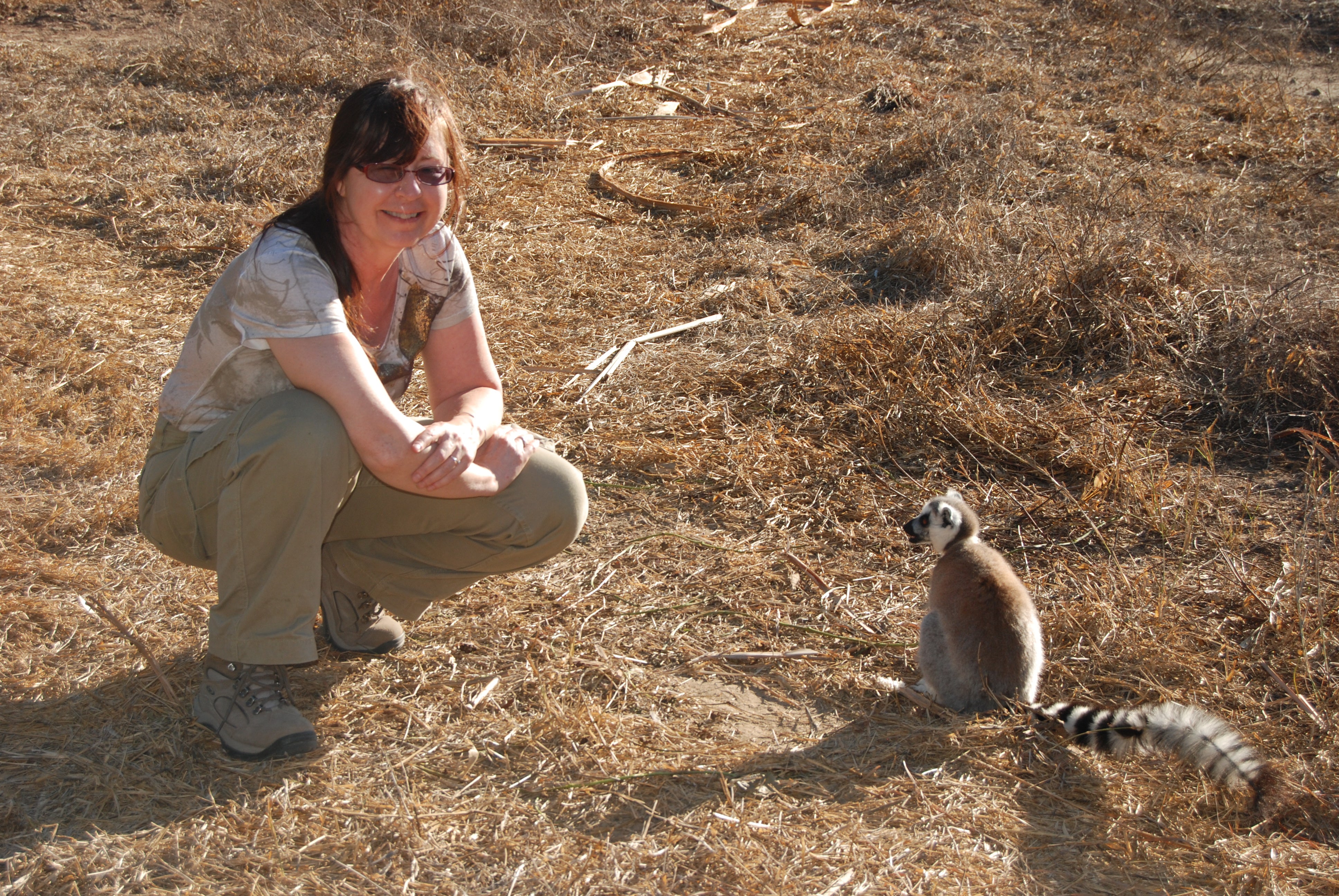 lemurs madagascar, decline
