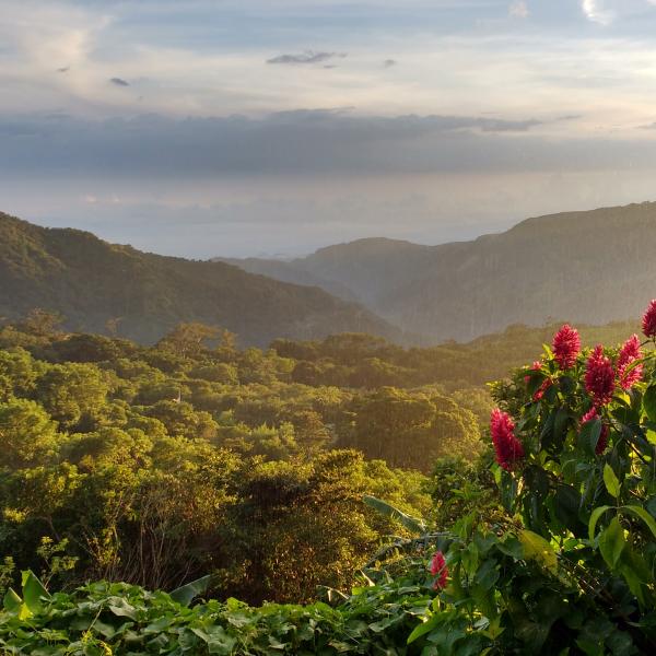 Rain over rainforest in Costa Rica