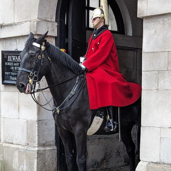 London palace guard on a horse