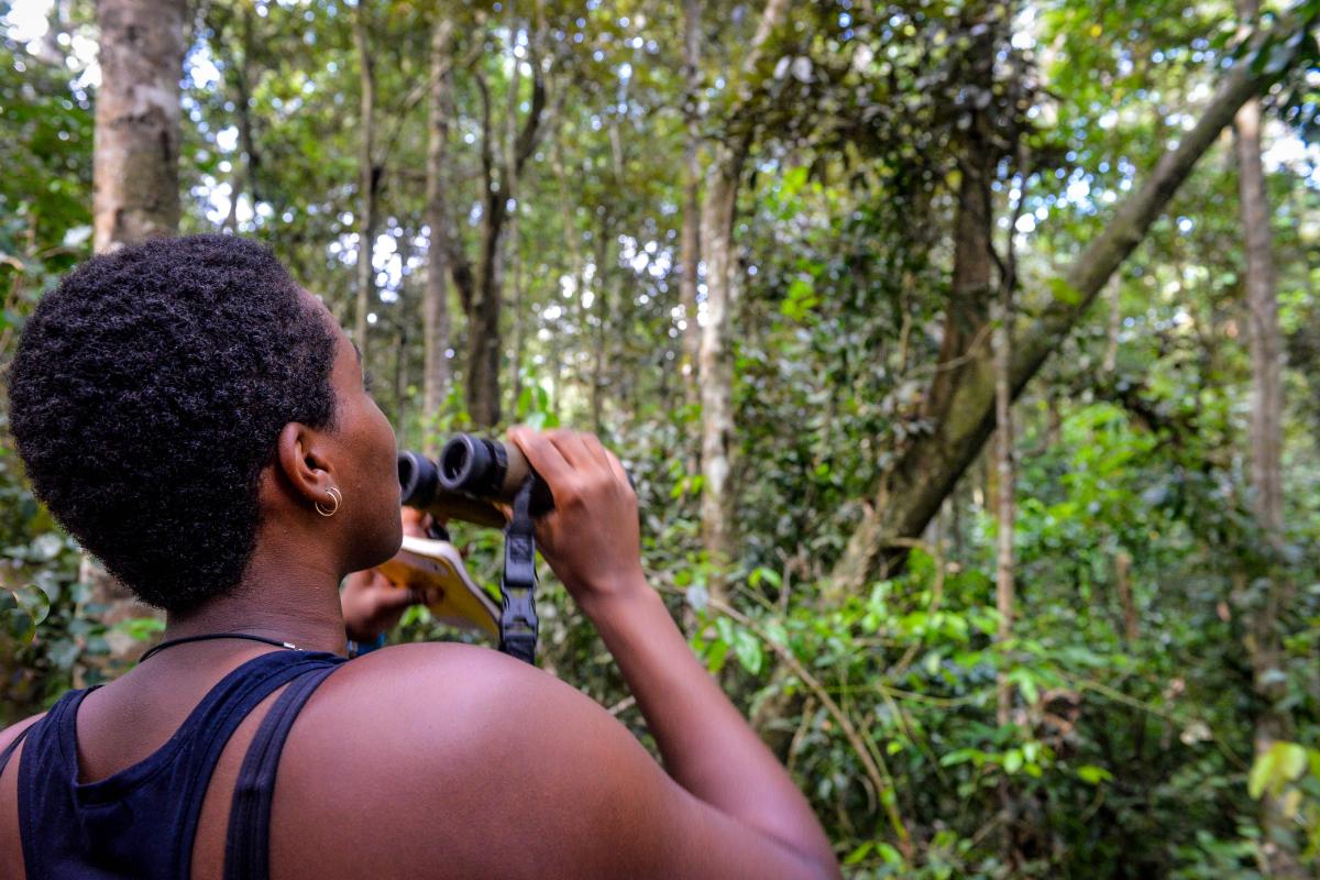 Student using binoculars in the rainforest