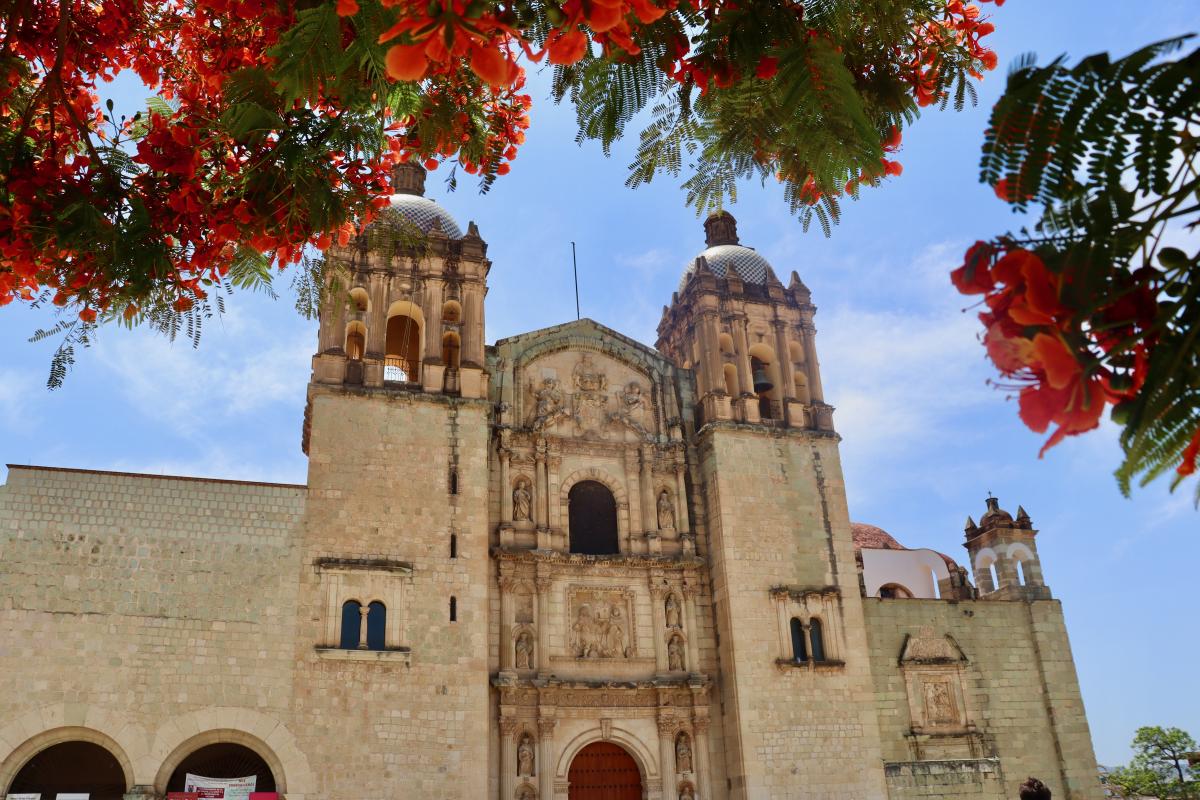 Cathedral in Oaxaca in front of tree blossoms