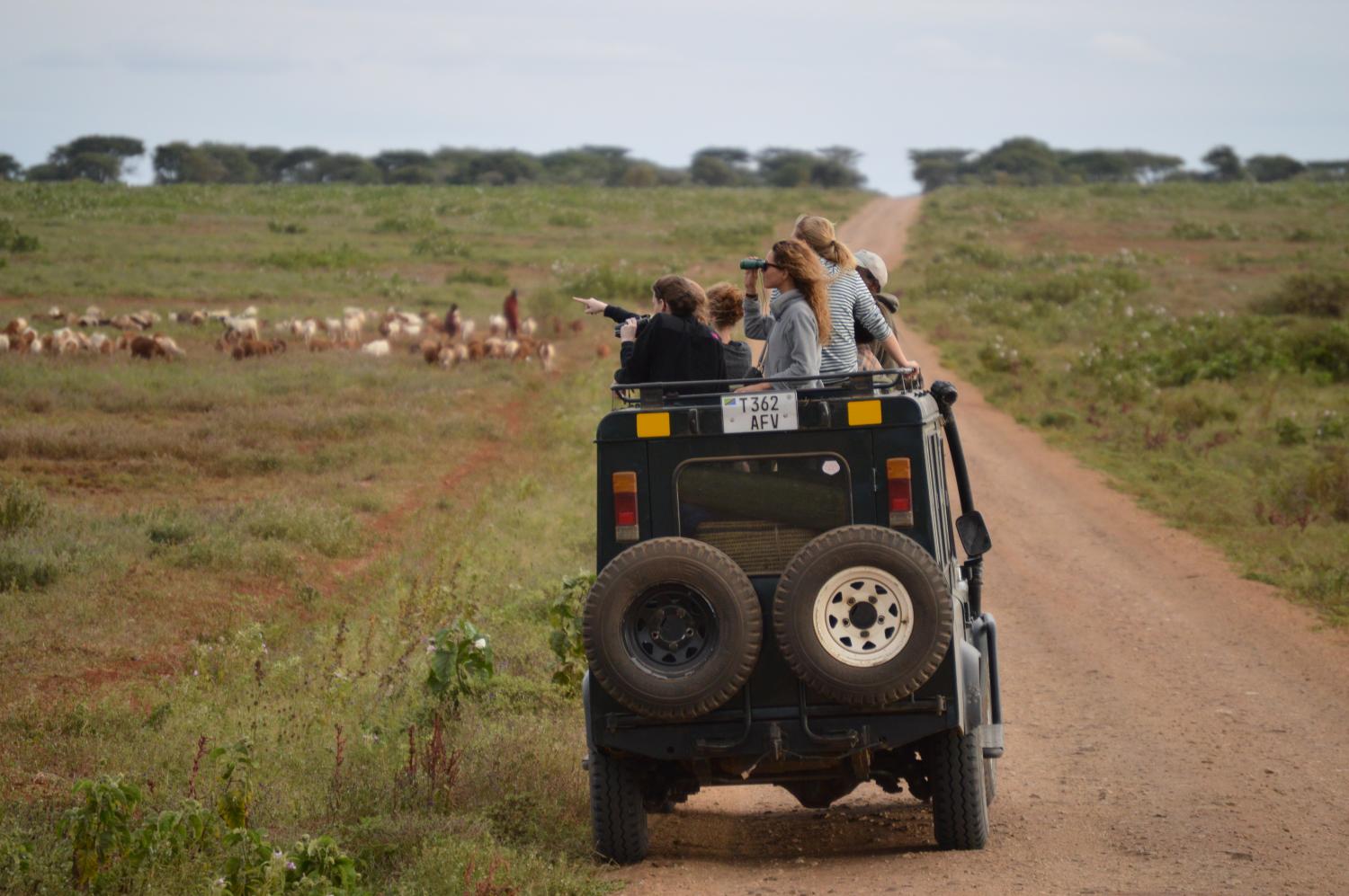 Students on safari vehicle in the Serengeti