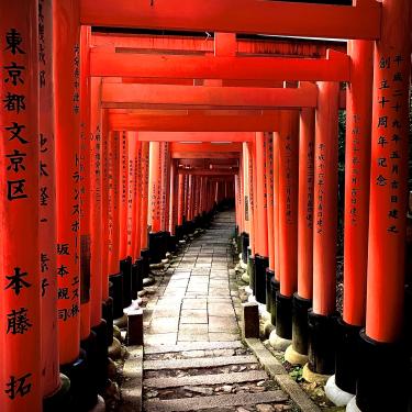 JAPAN, Kyoto - Dalton Waldock, 'Inari Shrine