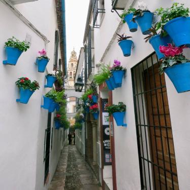 Street in Granada