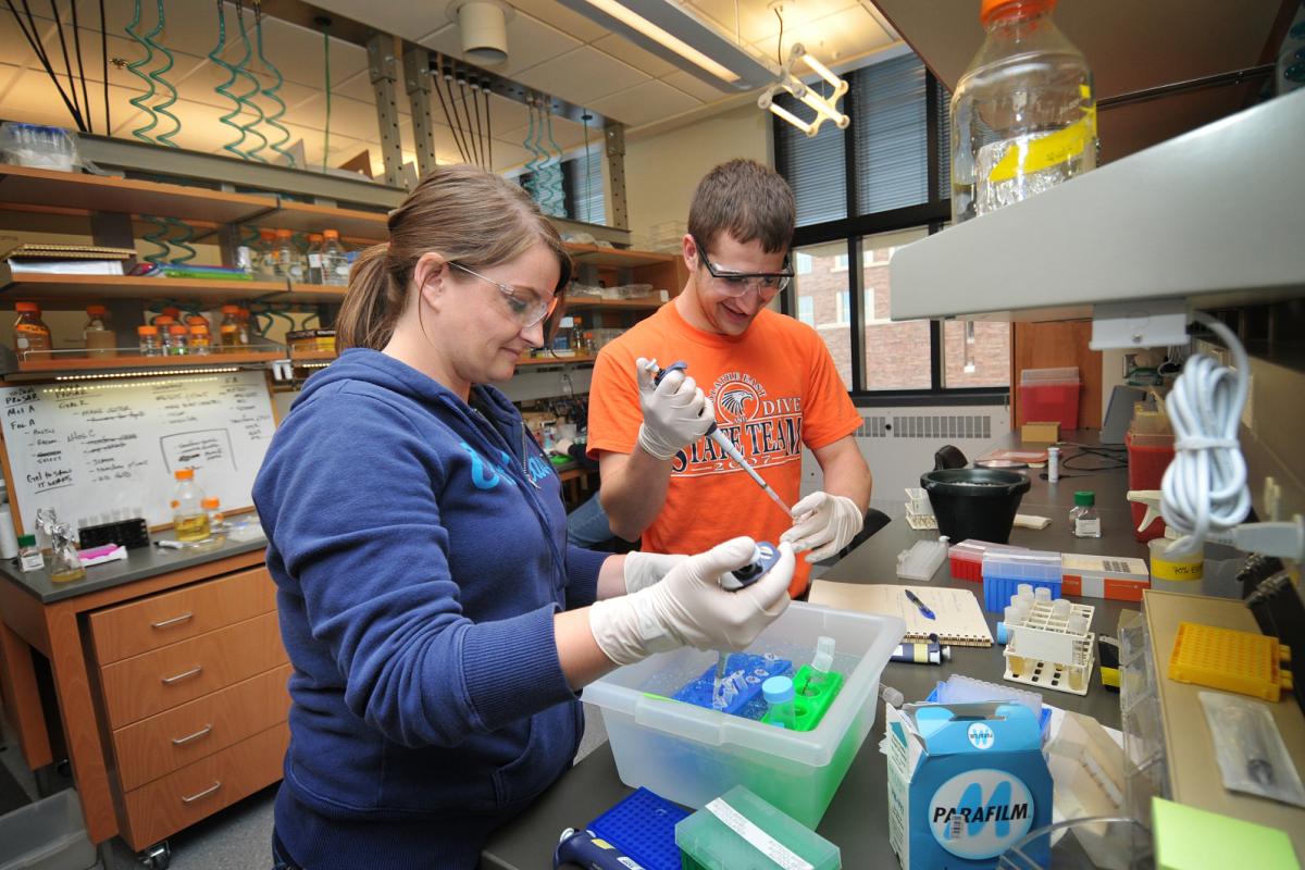 Two students doing research in a lab