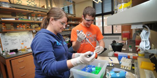 Two students doing research in a lab