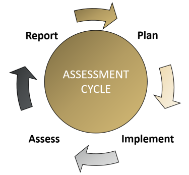 assessment cycle graphic