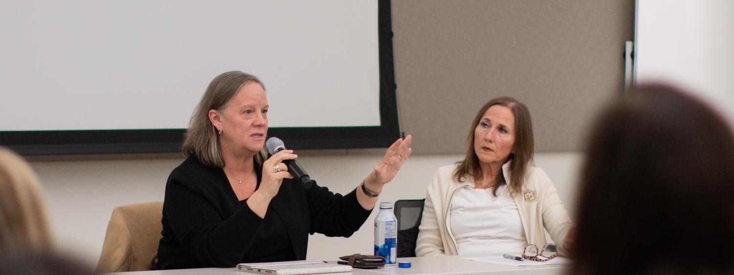 Provost Stevens presenting during the Federal Governance panel this fall