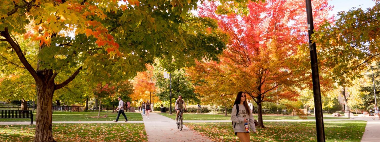 Campus walk