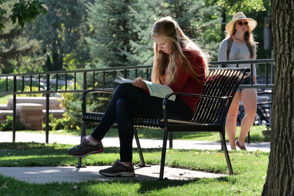 A student reading on a bench