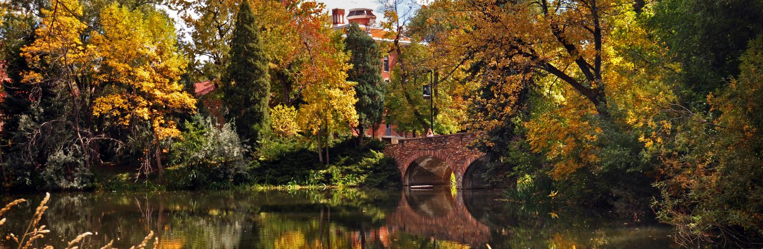 Bridge over Varsity Pond in the fall