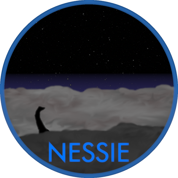NESSIE Team logo