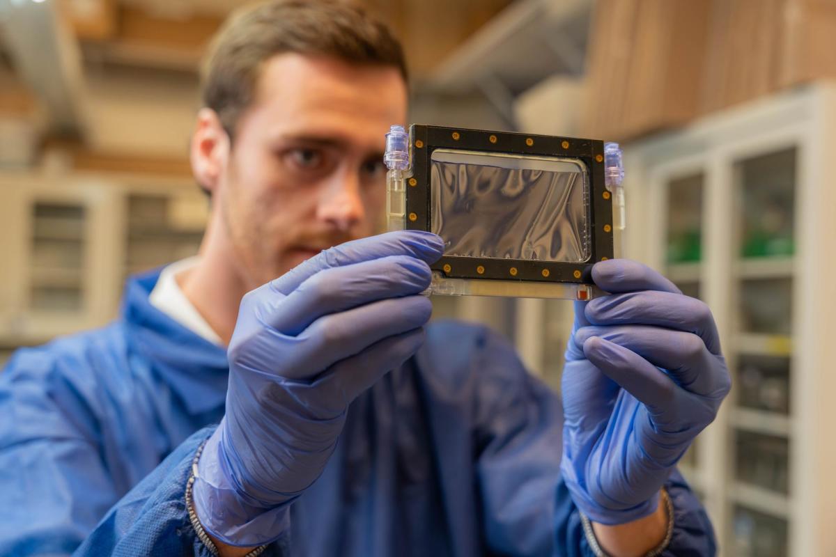 Student looking at a biocell device.
