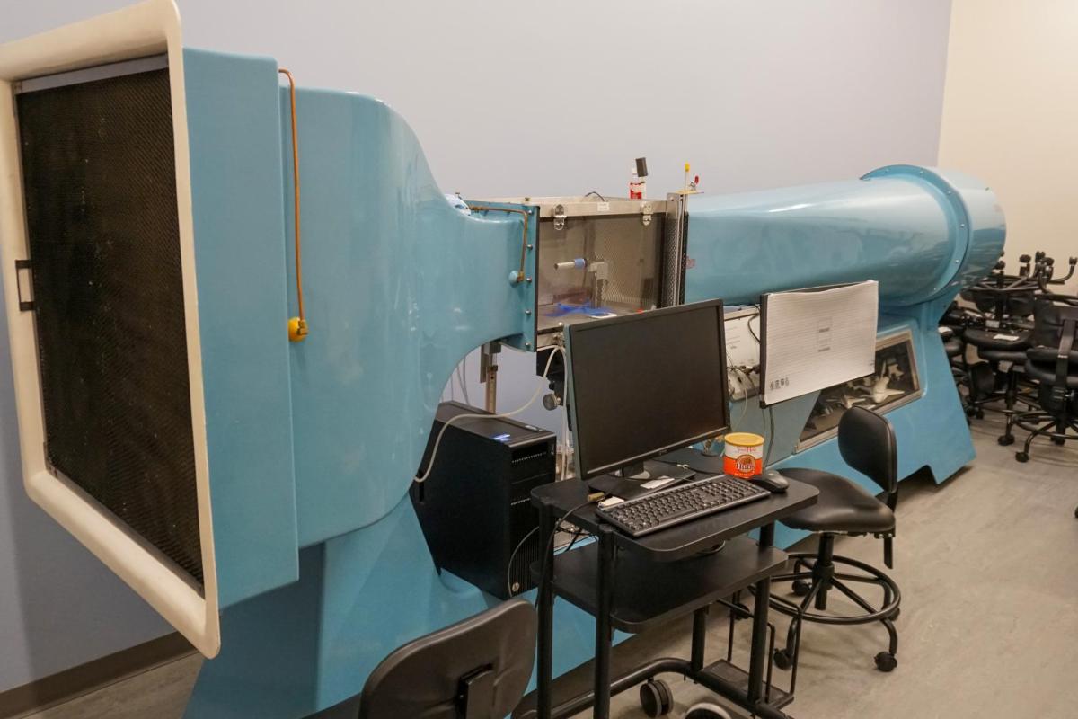 Wind tunnel