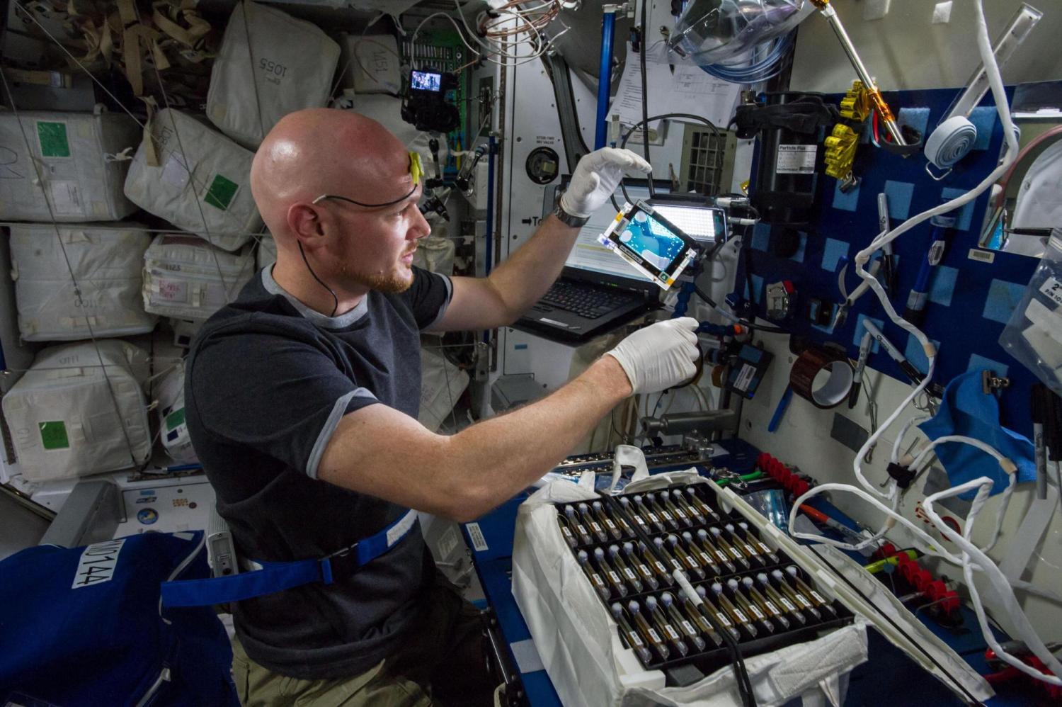 ESA astronaut Alex Gerst working with a Bioserve Drug Metabolism experiment.