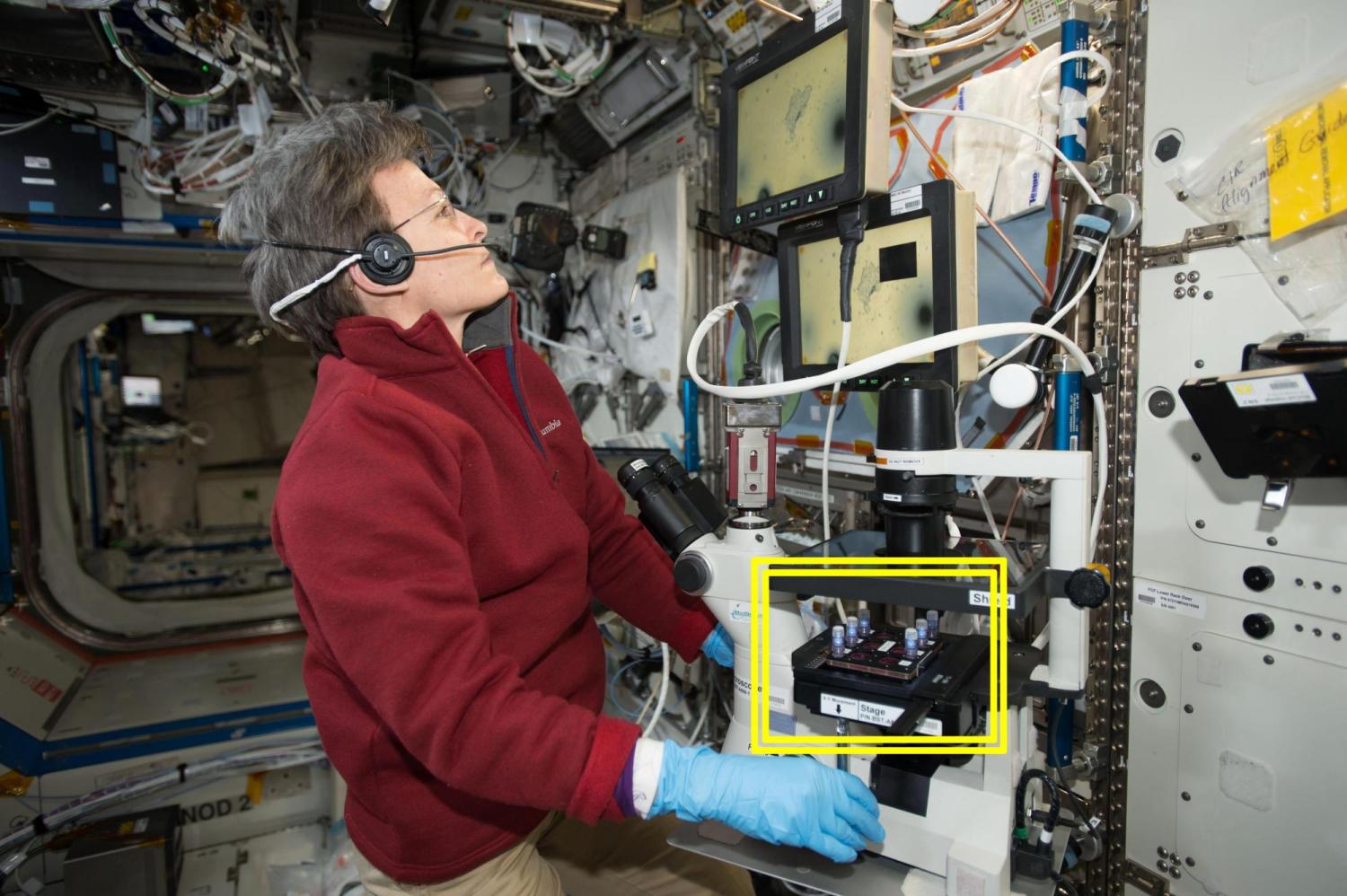 NASA astronaut Peggy Whitson uses a microscope to view Magnetic 3D Biocells.