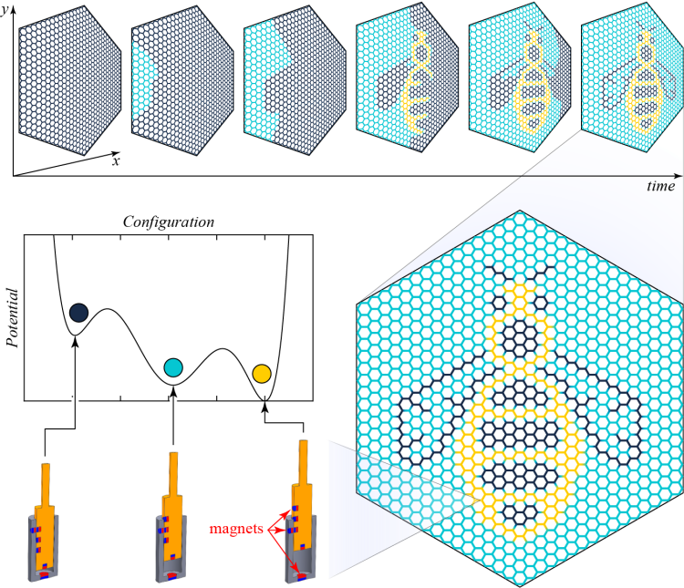 Computational research showing mechanical phase transformation within a hierarchical hexagonal lattice comprising 21120 multi-stable elements.