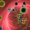 Rendering of blood and cells inside the body.