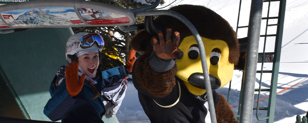 Chip in a chairlift