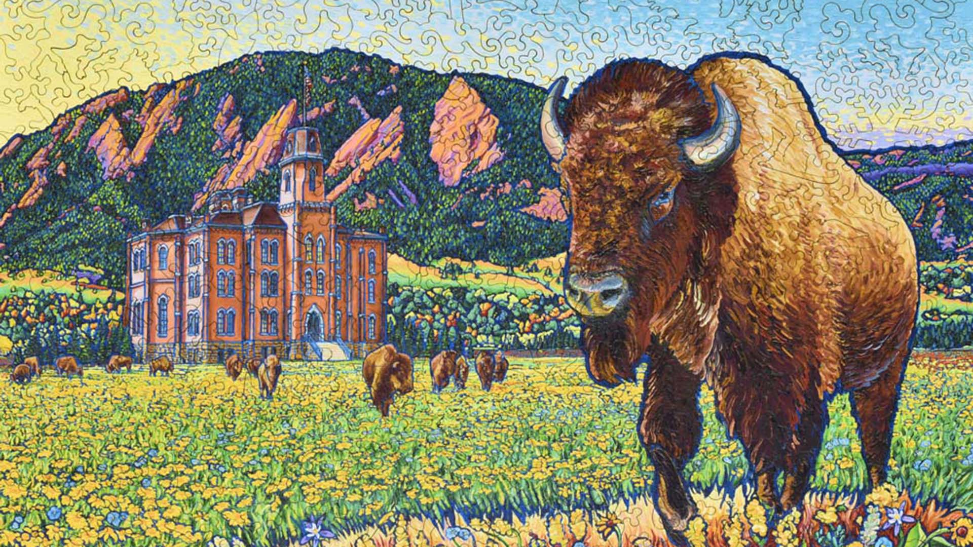 puzzle of illustrated CU campus and a herd of buffalos 