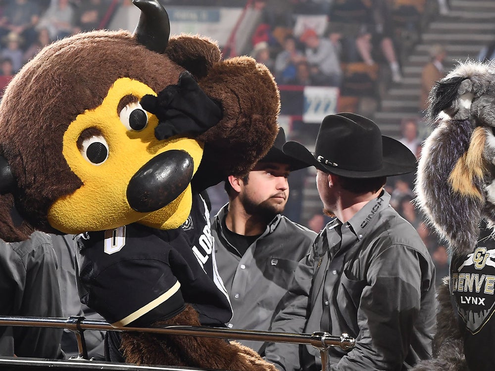 CU Boulder mascot Chip waving 