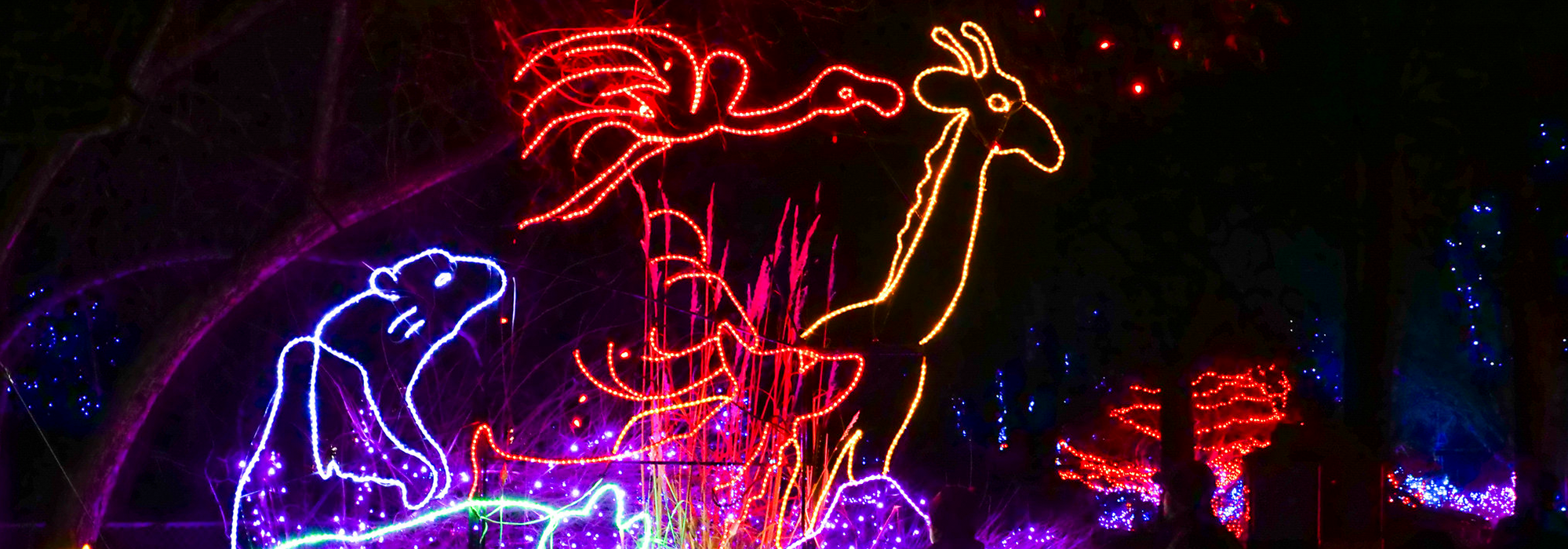 Denver Zoo Lights