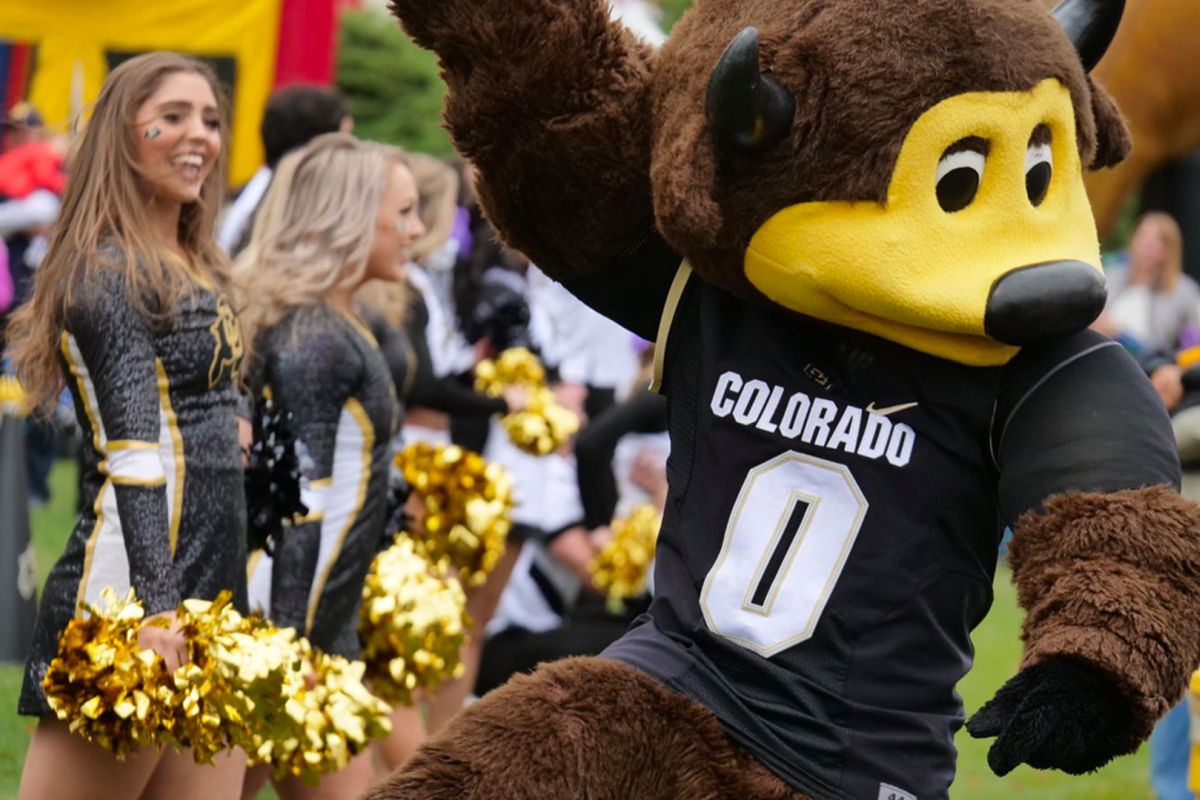 Chip cheering on the Buffs basketball team