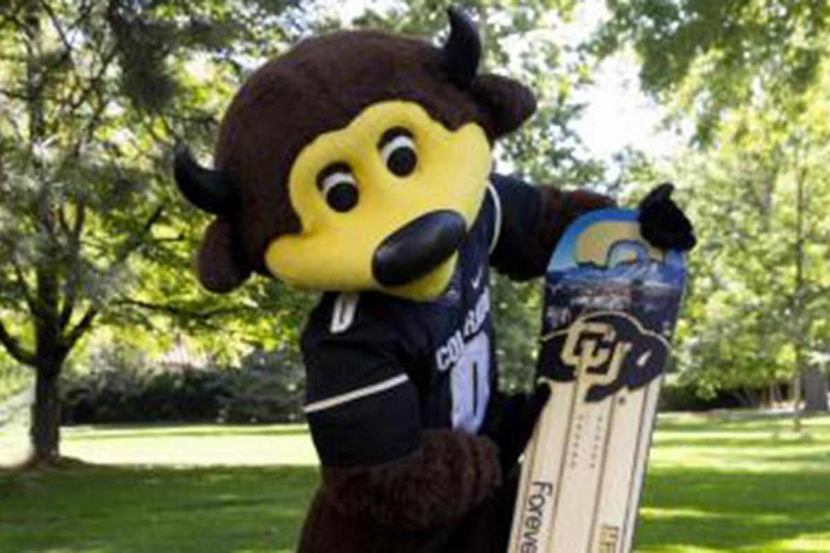 Chip with custom CU Boulder snowboard