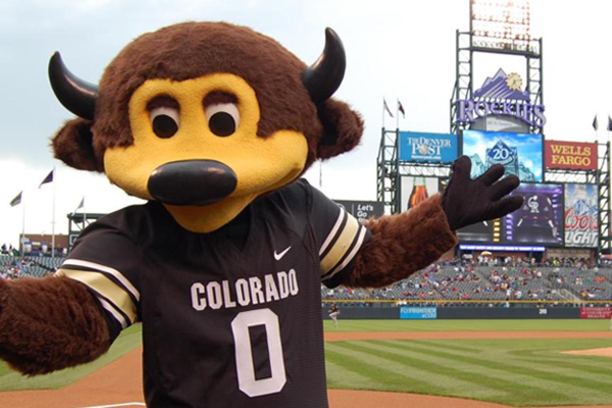 CU Boulder mascot Chip at Coors Field