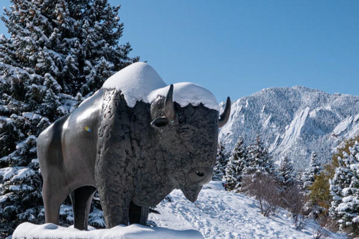 Ralphie statue in the snow