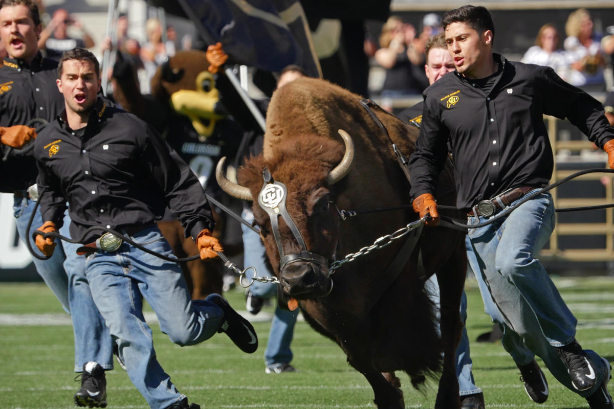 Ralphie running