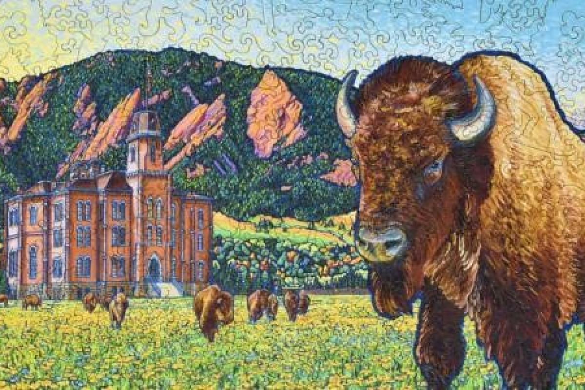 Liberty Puzzles