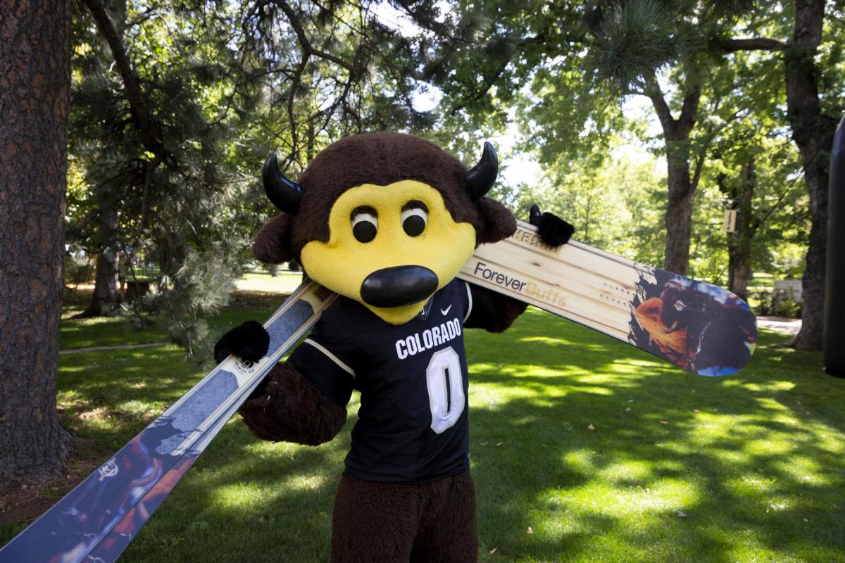 Chip Skis and Snowboard