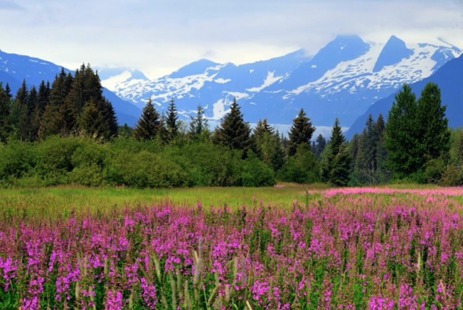 Juneau, Alaska