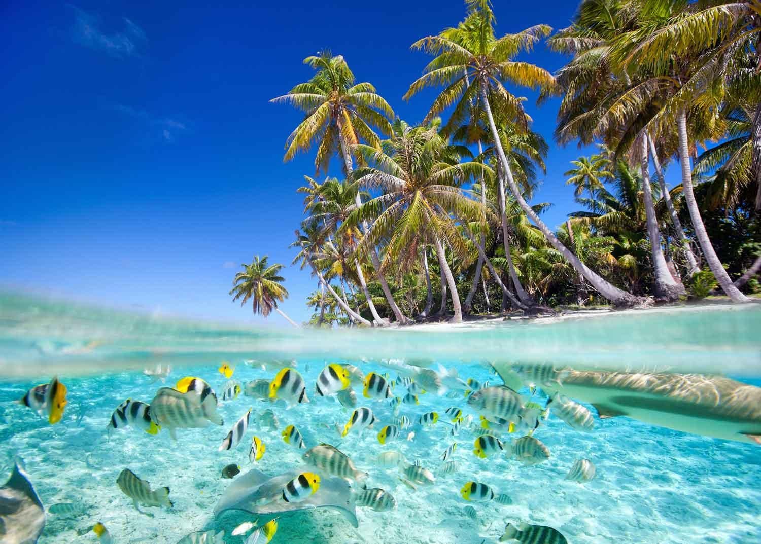 Tahiti and French Polynesia