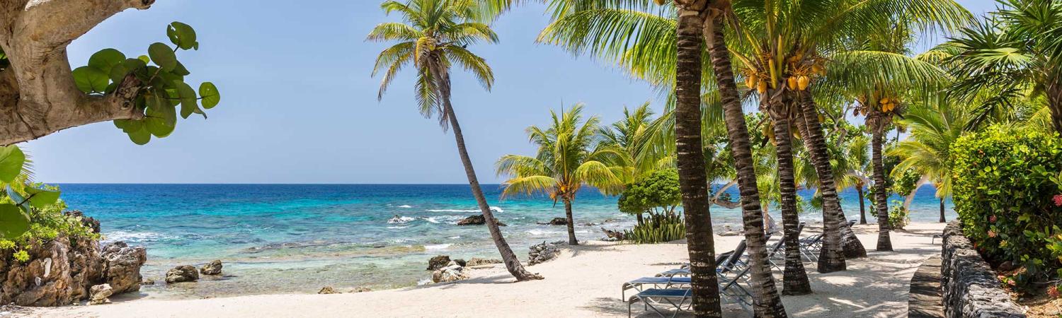 Vivid Western Caribbean and Panama Canal