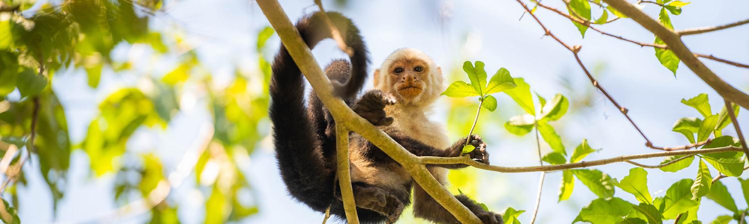 Exploring Costa Rica