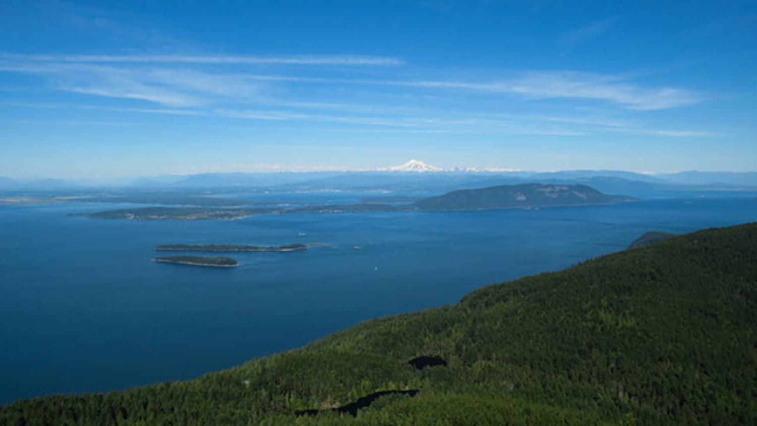 MT Constitution