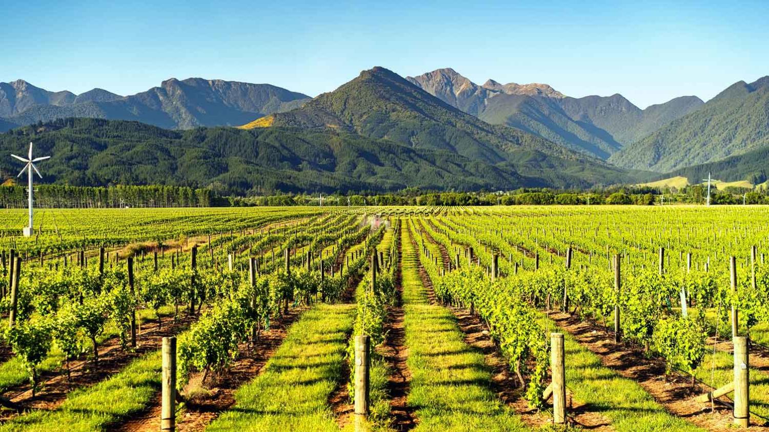 New Zealand