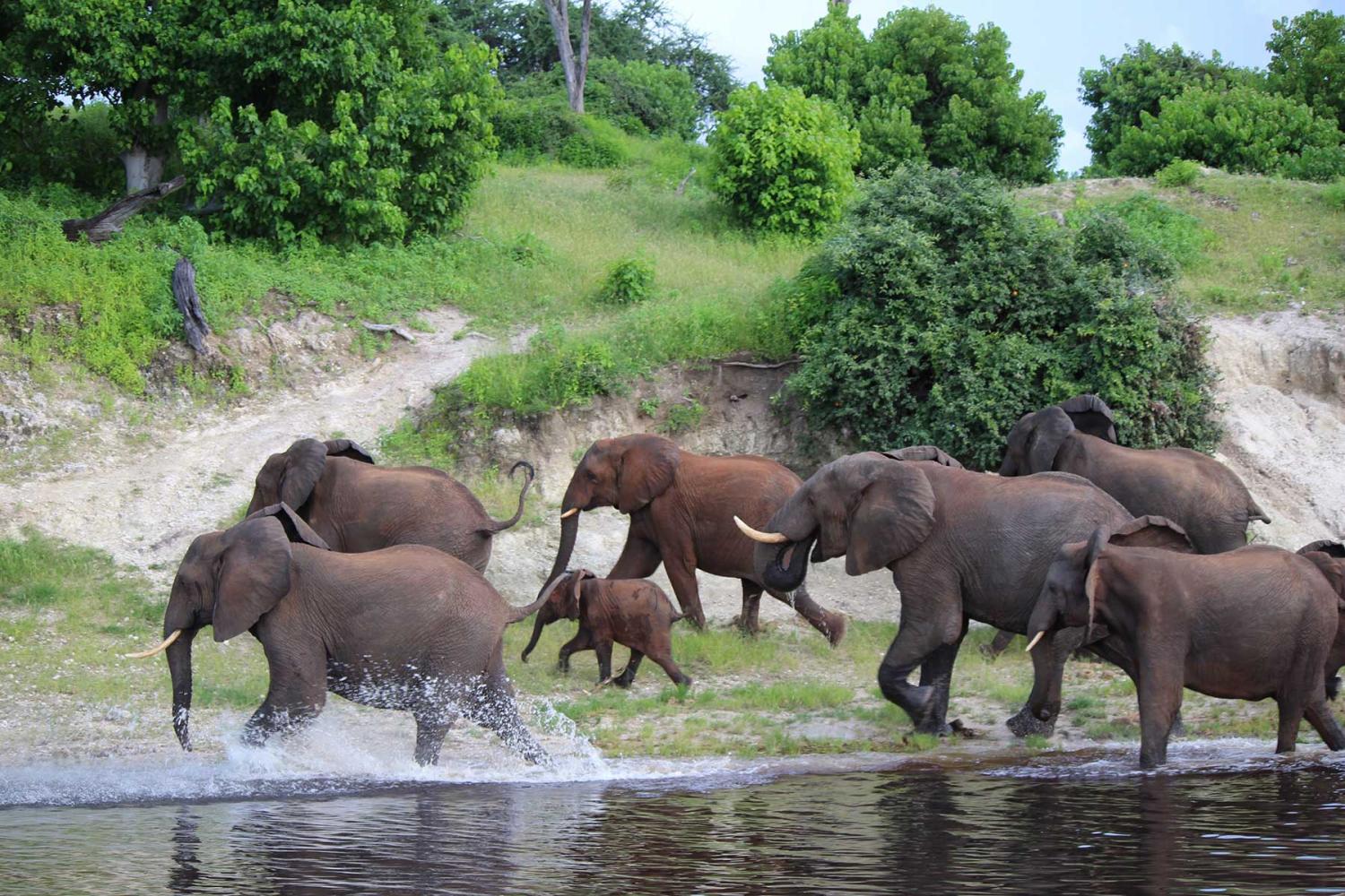 Journey to Southern Africa
