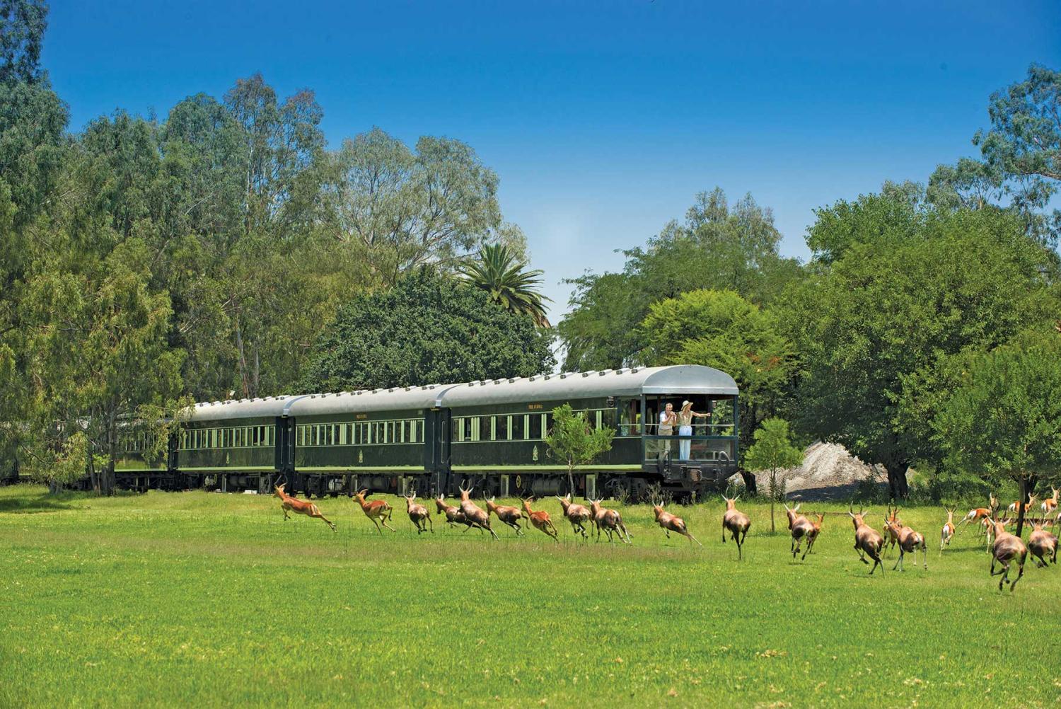 Journey to Southern Africa