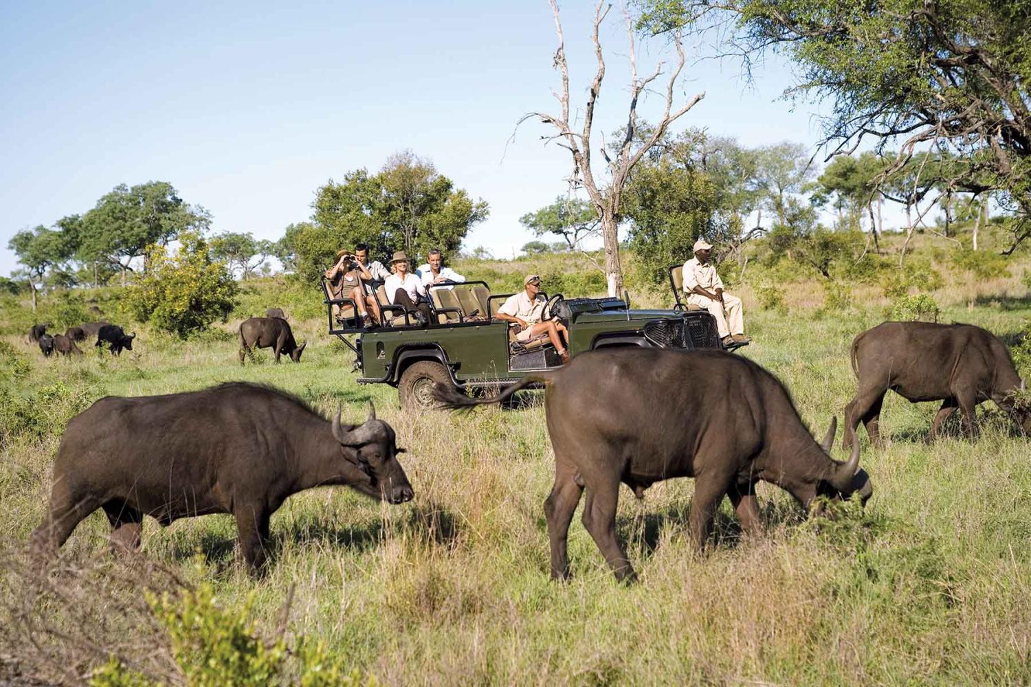 Journey to Southern Africa