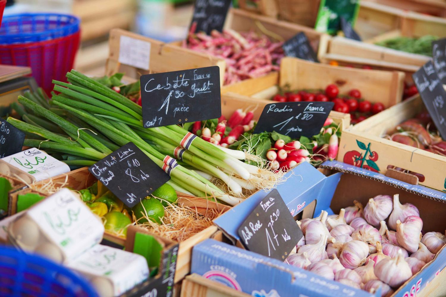 Pleasures of Provence