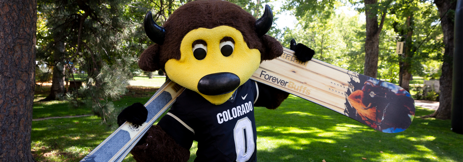 Chip holding CU Boulder custom designed skis by Meier
