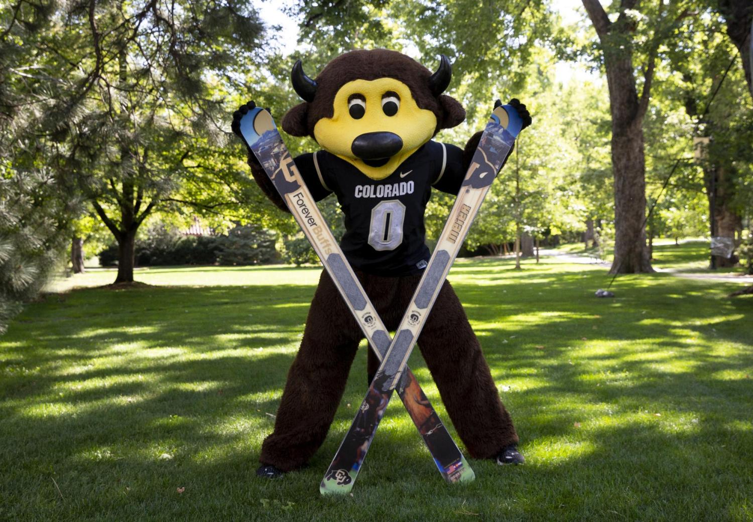 Chip with Skis