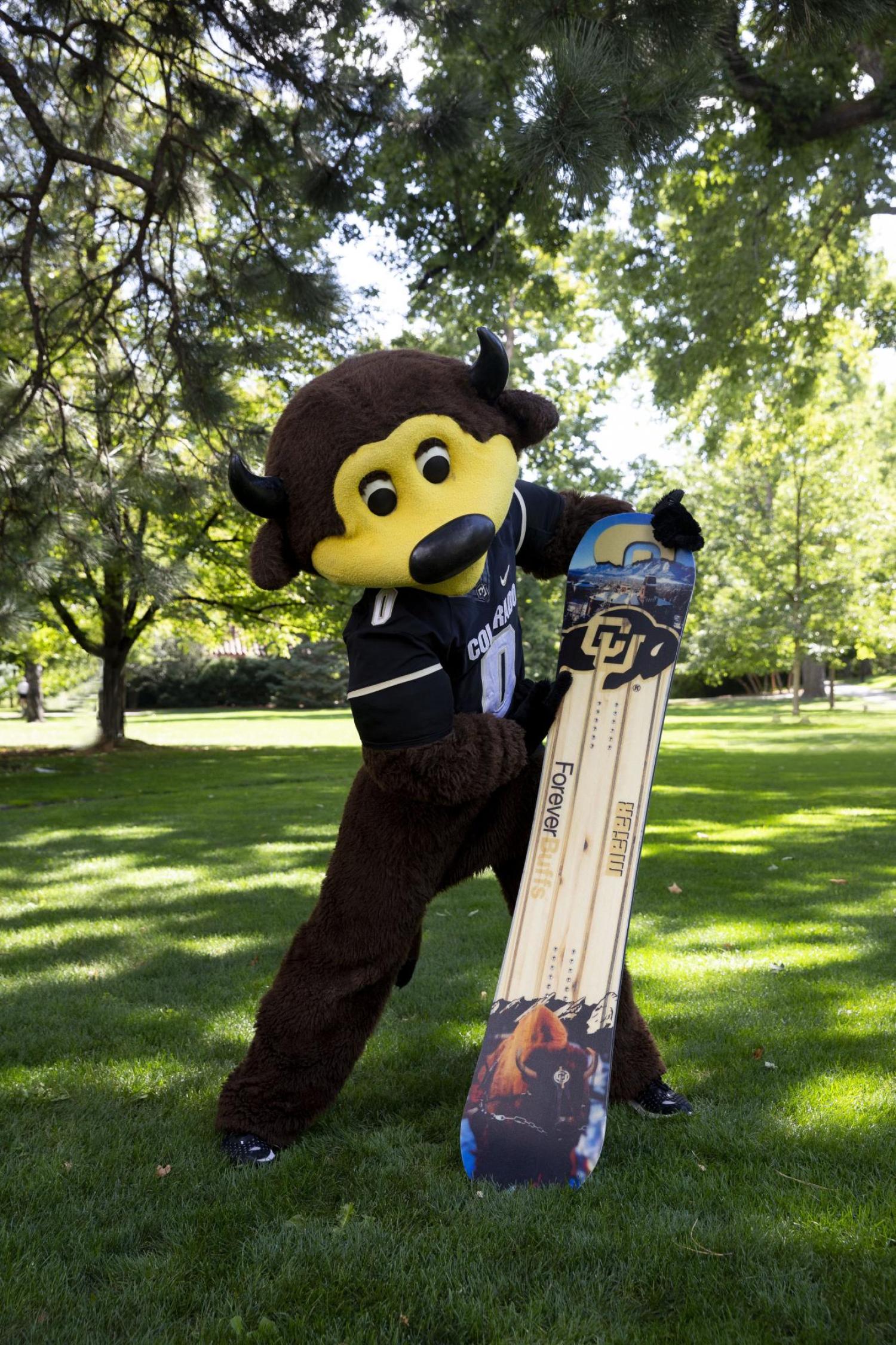 Chip Snowboard