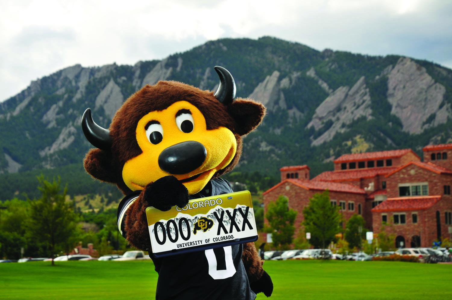 Chip wants you to get a CU license plate.